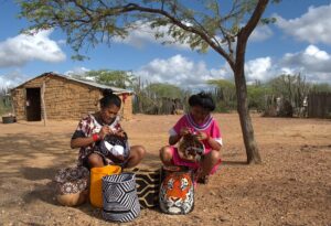 MÁS DE 945.000 VOCES EN COLOMBIA SON DE MUJERES INDÍGENAS