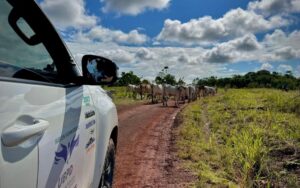 LA BÚSQUEDA HUMANITARIA LLEGA A EXPOASÍS, LA FERIA GANADERA MÁS IMPORTANTE DEL SUR DE COLOMBIA