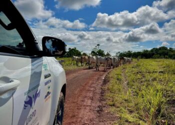 LA BÚSQUEDA HUMANITARIA LLEGA A EXPOASÍS, LA FERIA GANADERA MÁS IMPORTANTE DEL SUR DE COLOMBIA